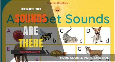 Exploring the Richness of Letter Sounds