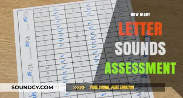 Mastering Phonics: Understanding Letter Sounds Assessment for Early Readers