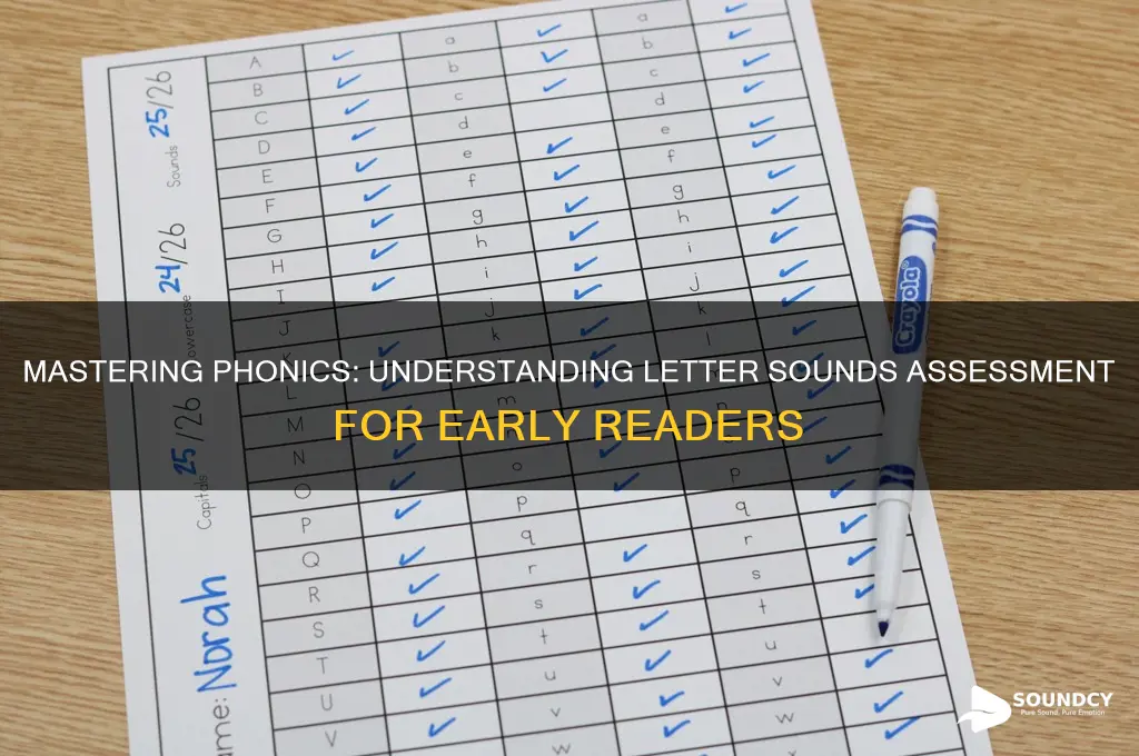 how many letter sounds assessment