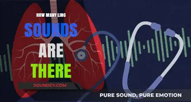 Exploring the Intricacies of Ling Sounds: A Comprehensive Count and Guide
