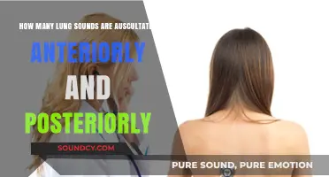 Exploring Lung Sounds: Anterior and Posterior Auscultation Variations