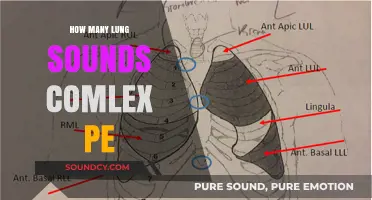 Mastering Lung Sounds: A Comprehensive Guide to COMPLEX PE Exam Prep