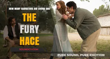 Exploring the Multiple Narrators in Faulkner's The Sound and the Fury