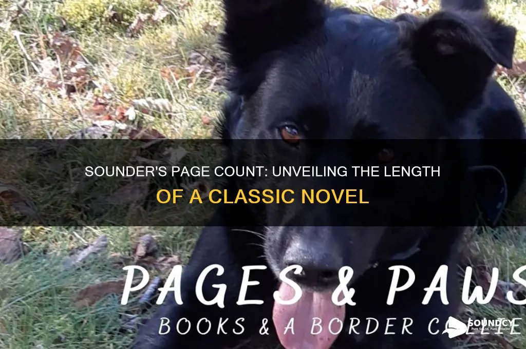 how many pages on in sounder