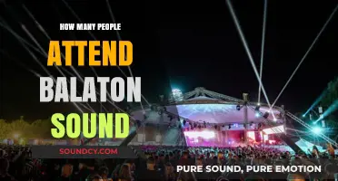 Balaton Sound Festival Attendance: How Many People Join the Party?