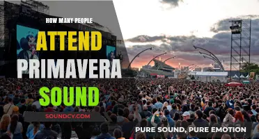 Primavera Sound Attendance: Unveiling the Massive Crowd Numbers