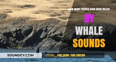 Whale Sounds: Unraveling the Mystery of Fatal Encounters