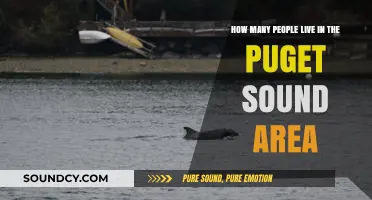 Exploring Puget Sound: Population Insights and Regional Growth Trends