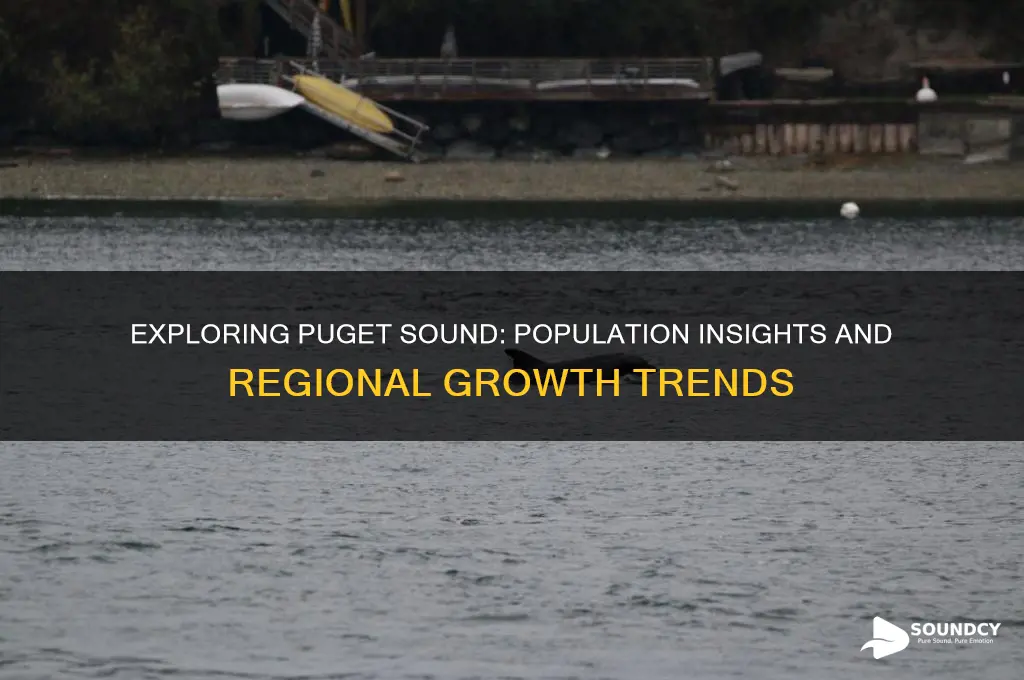 how many people live in the puget sound area