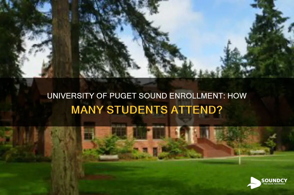 how many people to to university or puget sound