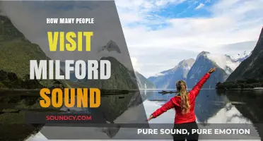 Milford Sound Visitor Numbers: Unveiling the Annual Tourist Footfall