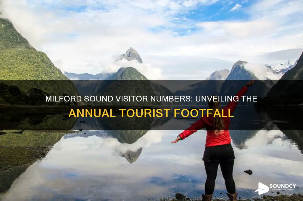how many people visit milford sound