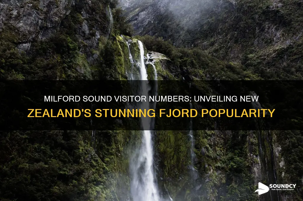 how many people visted milford sound in new zealand