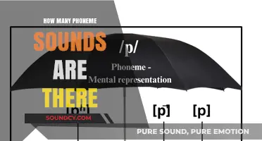 Exploring the Total Number of Phoneme Sounds in Human Language