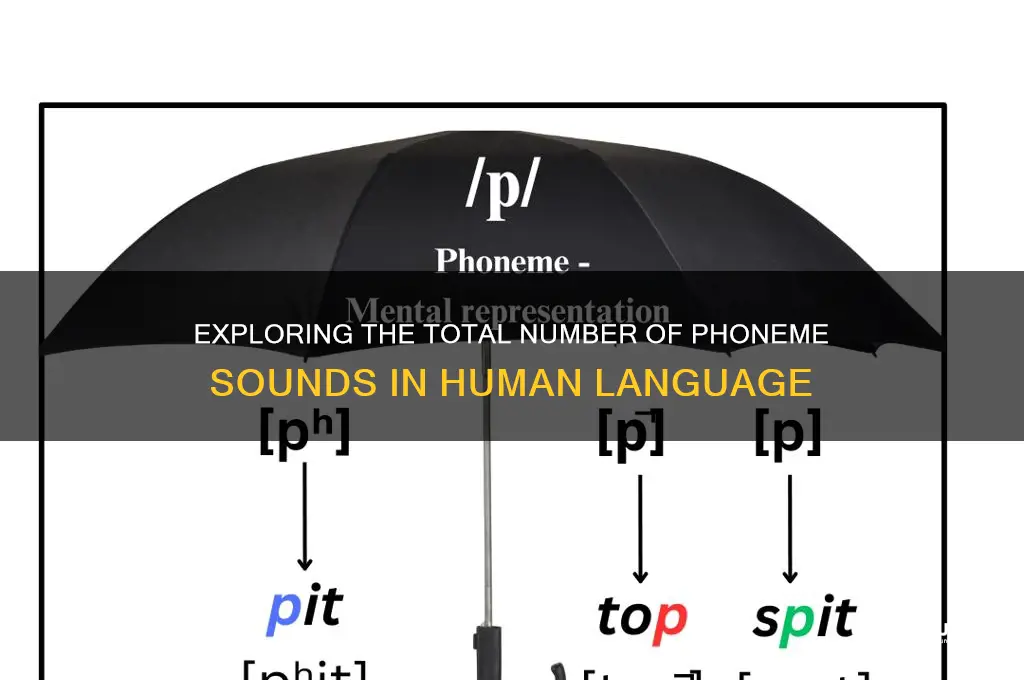 how many phoneme sounds are there