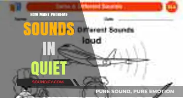 Unraveling the Phoneme Sounds in the Word 'Quiet': A Detailed Breakdown