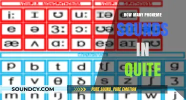 Unraveling the Phoneme Sounds in the Word 'Quite': A Detailed Breakdown