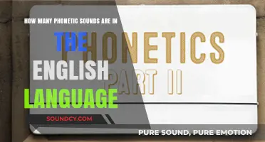 Exploring the Phonetic Sounds of English: A Comprehensive Count