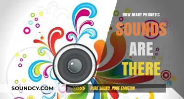 Exploring the Total Number of Phonetic Sounds in Human Language