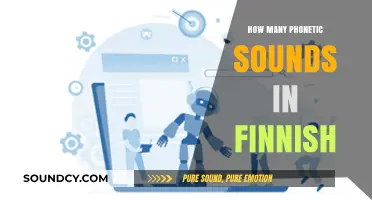 Exploring the Unique Phonetic Sounds of the Finnish Language