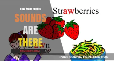 Exploring the Total Number of Phonic Sounds in English Language