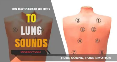 Where to Listen: Exploring Lung Sound Auscultation Locations