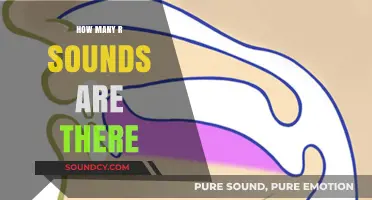 Unraveling the Mystery: How Many R Sounds Exist in English?
