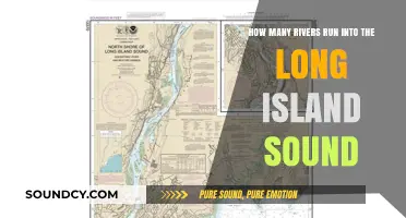 Exploring the Rivers That Feed Long Island Sound's Waters