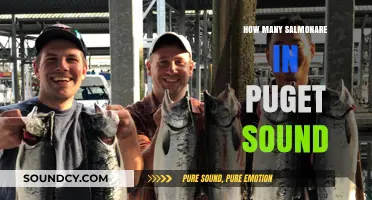Exploring Puget Sound's Salmon Population: Numbers, Trends, and Conservation Efforts