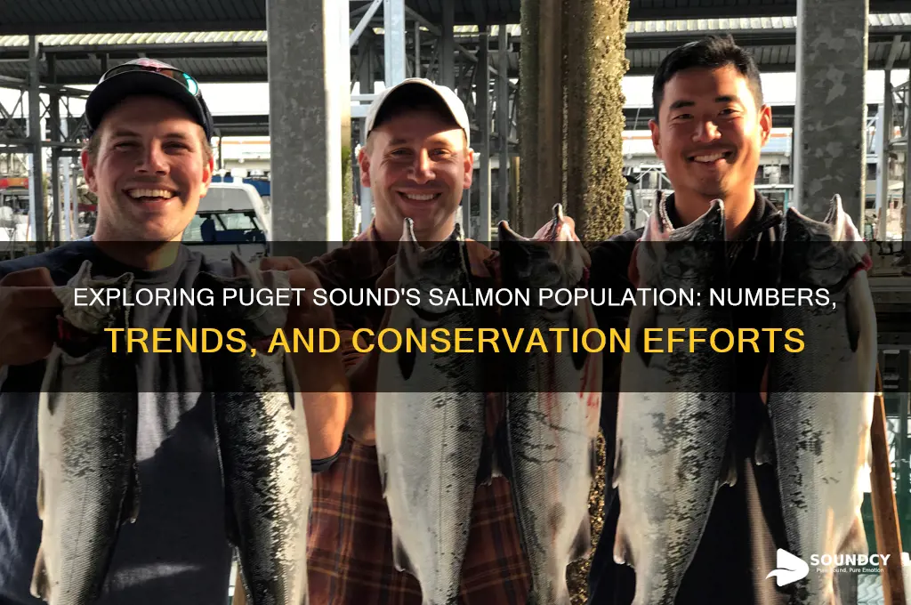 how many salmonare in puget sound