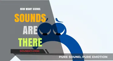 Exploring the Elusive Schwa: Uncovering the Count of This Vowel Sound