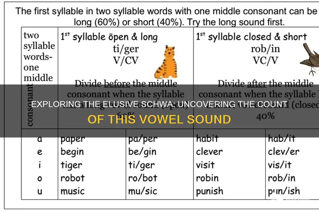how many schwa sounds are there