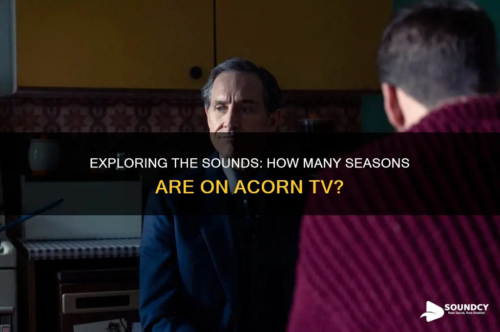 how many seasons of the sounds on acorn tv
