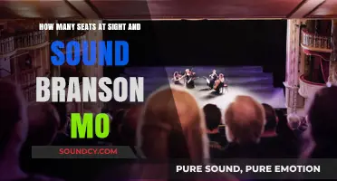Discover the Seating Capacity at Sight & Sound Branson, MO