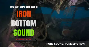 Iron Bottom Sound's Shipwrecks: Uncovering the Toll of Naval Battles