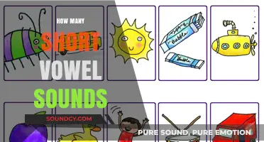 Exploring the Count: How Many Short Vowel Sounds Exist in English?