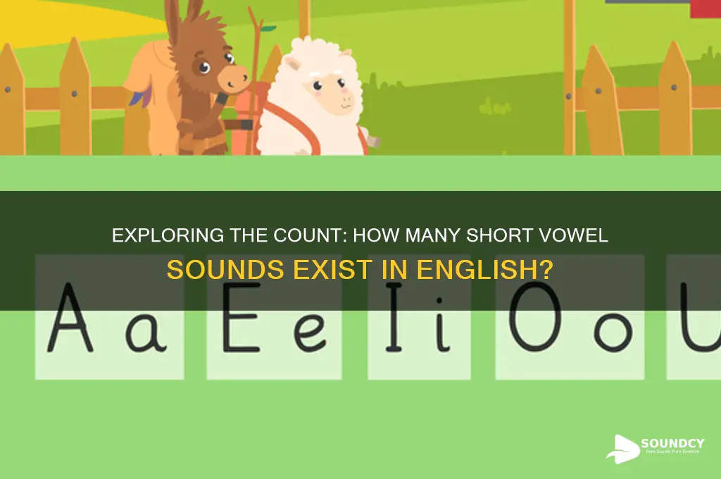 how many short vowel sounds