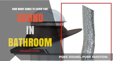 Effective Sones Needed to Mask Bathroom Noises: A Practical Guide