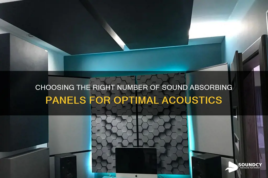 how many sound absorbing panels