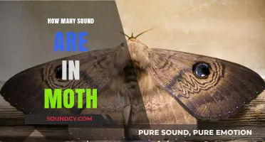 Unraveling the Surprising Number of Sounds a Moth Produces
