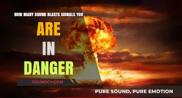 Sound Blasts as Danger Signals: Understanding Emergency Alerts and Safety