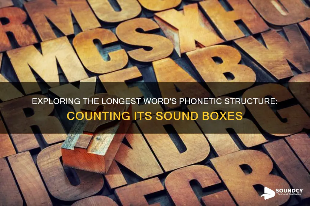 how many sound boxes does the longest word have