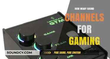 Enhance Your Gaming Experience: Choosing the Right Sound Channels