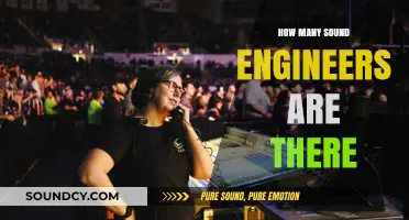 Exploring the Global Count of Sound Engineers in the Industry