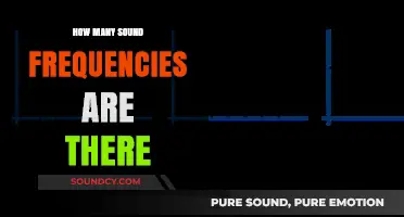 Exploring the Vast Spectrum: How Many Sound Frequencies Exist?