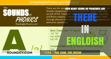 Exploring the Phonetic Landscape: How Many Sounds Does English Have?