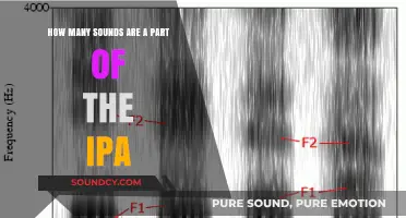 Exploring the International Phonetic Alphabet: Total Sounds and Their Significance