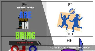 Breaking Down the Phonetic Components of the Word 'Bring