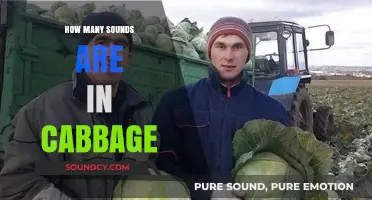 Unraveling the Surprising Number of Sounds Hidden in 'Cabbage