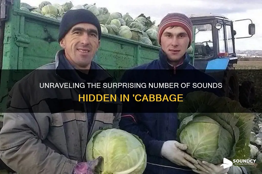 how many sounds are in cabbage